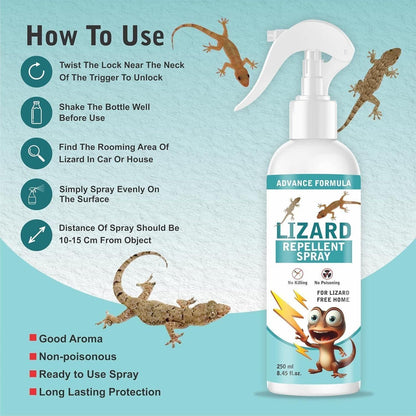 ✨Lizard Repellent Spray ✨ Buy 1 Bottle 🧴 Get 1 Bottle 🧴
